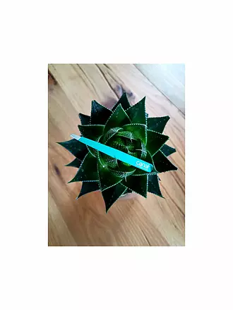 CANAL | Pinzetta per capelli inossidabile/obliqua 95 mm (Verde) 2069 | 